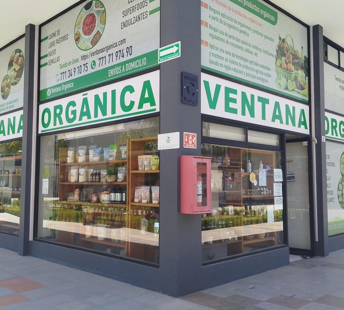 Ventana Orgánica